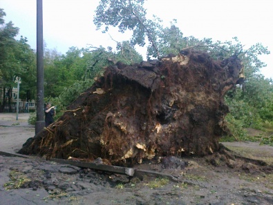 Ураган в Кривом Роге. Выкорчеванные деревья, пострадавшие авто, сорванная ветром реклама