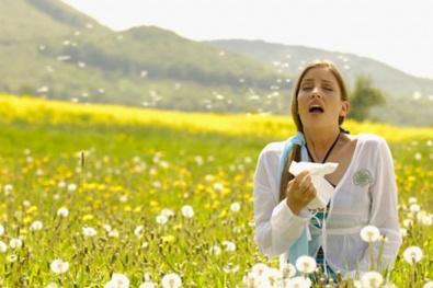 Аллергики сходят с ума: цветет амброзия и прочие «прелести» болезни