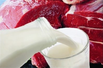 На Днепропетровщине возросло производство мяса и молока