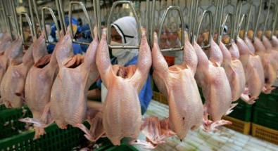 Украина наложила запрет на импорт мяса из Турции и Китая