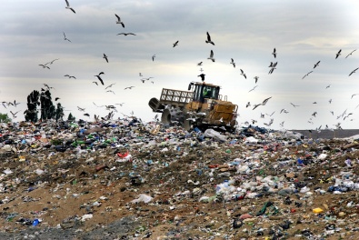В Кривом Роге планируют расширить полигон для твердых бытовых отходов