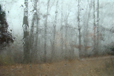 Погода в Кривом Роге на 16 февраля