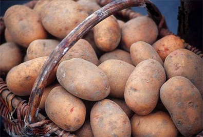 Для учебных и дошкольных учреждений Жовтневого района закупили картофель почти на 2 млн гривен