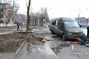 В Кривом Роге маршрутка снесла дерево и дорожный знак