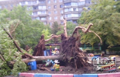Непогода в Кривом Роге: Деревья падали в детских садах и на дороги