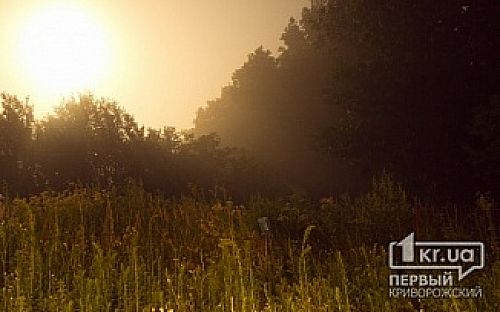 Главное фото новости