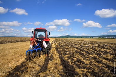 Фермеры Днепропетровской области не желают оформлять наемных работников
