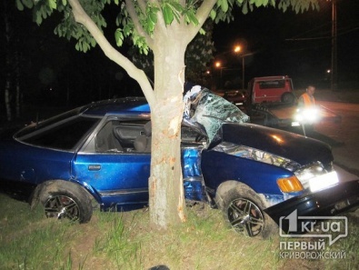 В Кривом Роге водитель на «Ford» влетел в дерево и сбежал с места ДТП