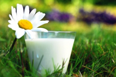 С февраля 2015 года молочную продукцию Украины начнут поставлять в Европу