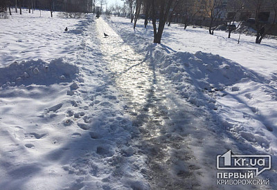 Фото к новости Главное фото новости