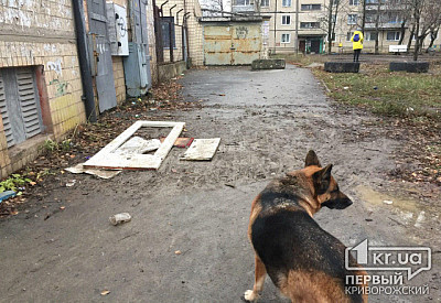 Фото к новости Главное фото новости