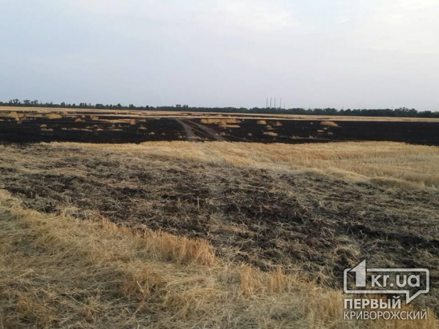 Возле Кривого Рога фермеры потушили пылающее поле с пшеницей