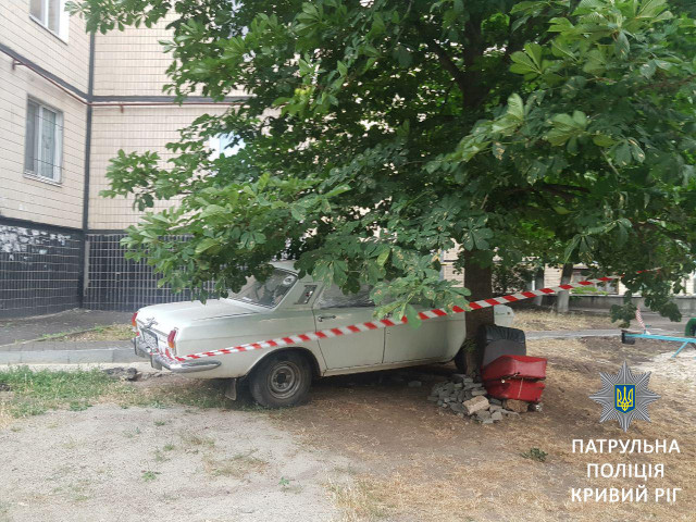 Под деревом возле криворожской многоэтажки нашли артиллерийскую мину