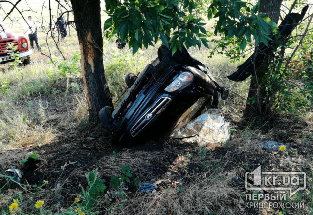 Под Кривым Рогом авто вылетело в кювет, погиб пассажир