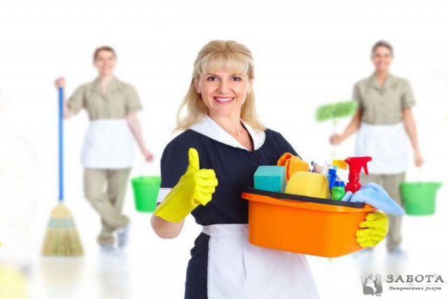 Опытная домработница – гарантия чистоты вашего дома