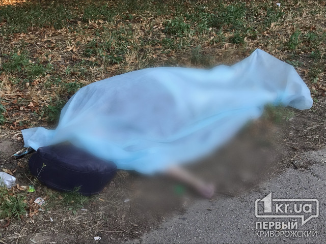 На улице в Кривом Роге умерла женщина