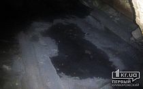 Фото новости