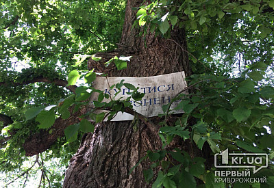 Фото к новости Главное фото новости