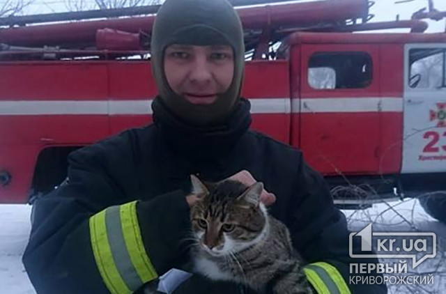 В Криворожском районе пожарные спасли кота, который застрял на дереве