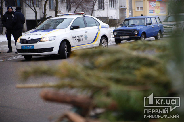 Криворожские полицейские провели рейды по точкам продажи новогодней хвои