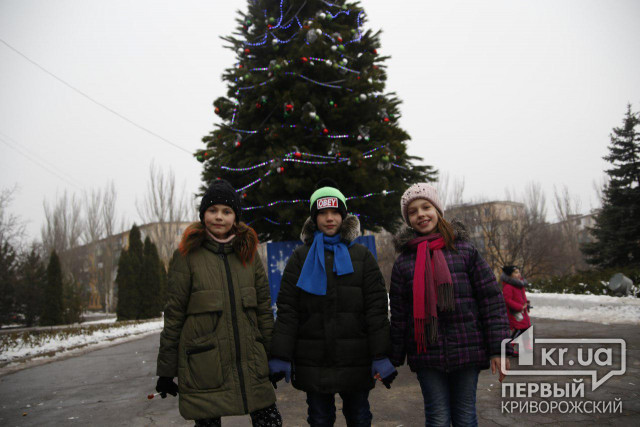 В Саксаганском районе Кривого Рога открыли новогодний городок