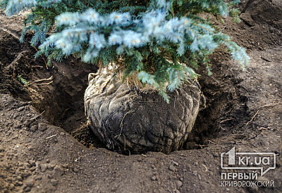 Фото к новости Главное фото новости