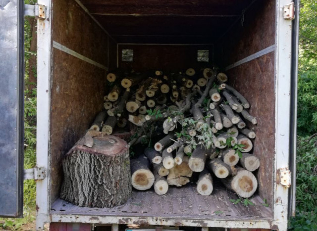 Полный кузов древесины без документов обнаружили в Кривом Роге