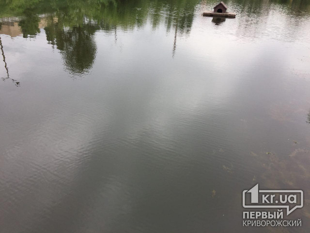 За 13 дней лета на водоемах Украины погибли несколько десятков человек