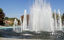 Фото новости