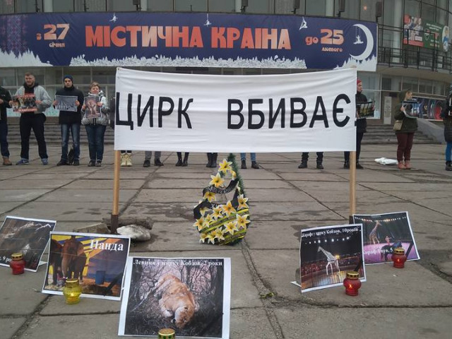 В Кривом Роге защитники животных провели акцию протеста под цирком