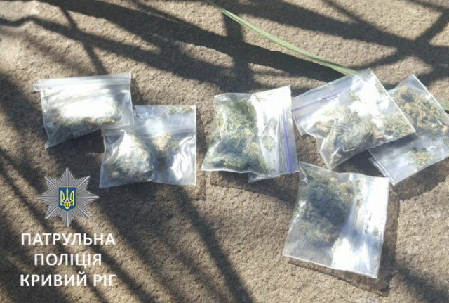 В двух районах Кривого Рога полицейские задержали мужчин с марихуаной