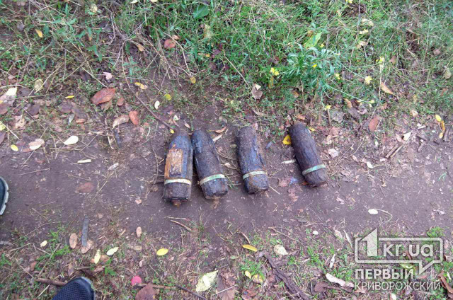 Во время поиска металлолома криворожанин нашел боеприпасы