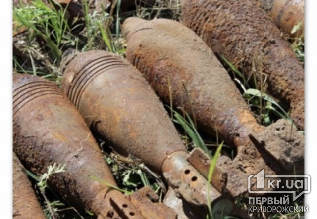 27 боеприпасов обнаружено на территории частного домовладения под Кривым Рогом
