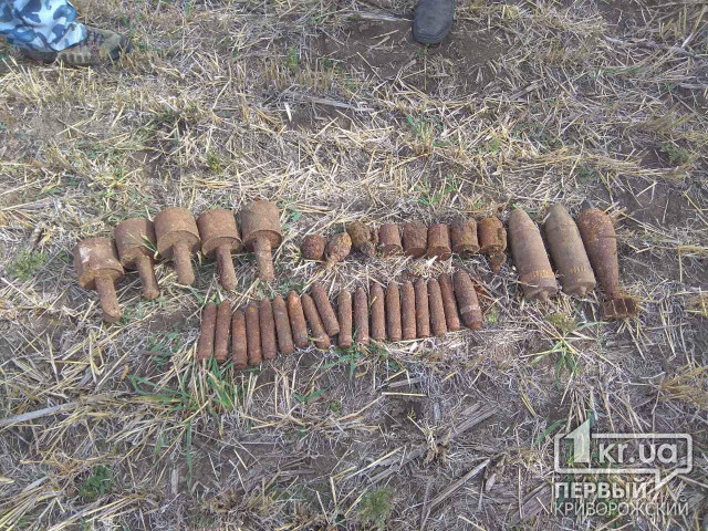 Десятки взрывоопасных боеприпасов найдены недалеко от Кривого Рога
