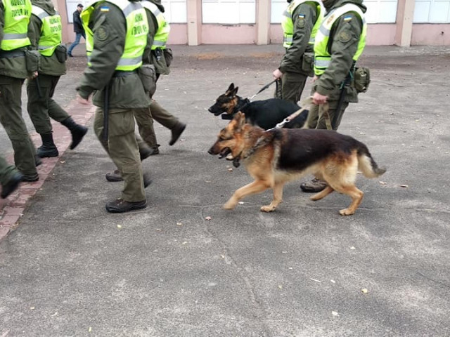 На улицах Кривого Рога появится больше полицейских и Нацгвардейцев с собаками