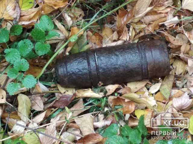 Криворожский школьник во время прогулки нашел боеприпасы
