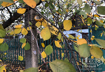 Фото к новости Главное фото новости