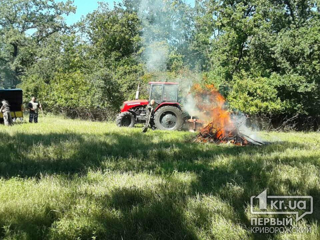 Криворожские спасатели тренировались тушить пожары в лесах