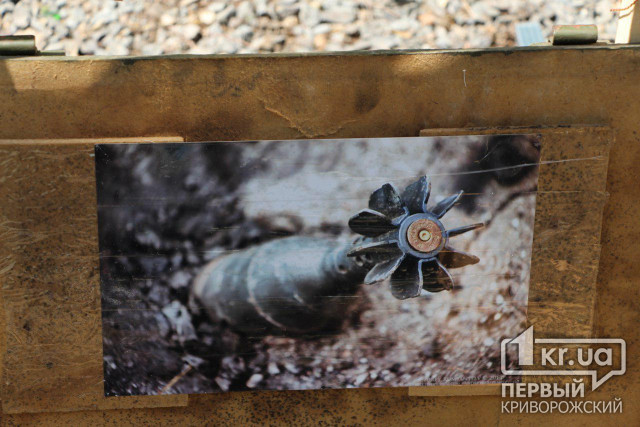 На берегу реки Саксагань криворожанин нашел взрывоопасную мину