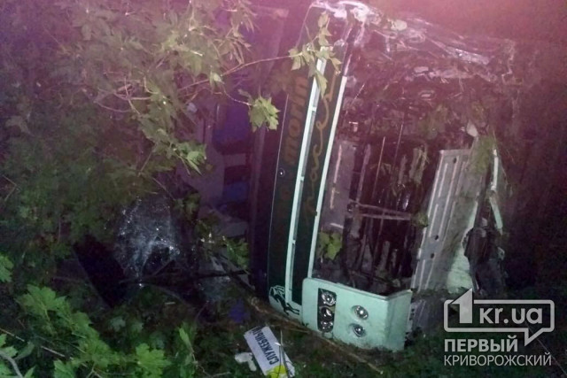 Пострадали 15 человек. На трассе Днепр-Мелитополь пассажирский автобус вылетел в кювет