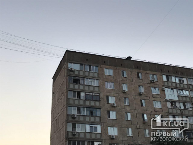 Двойное самоубийство в Днепре. Парень и девушка выбросились из окна 8-го этажа