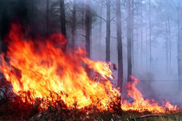 На Дніпропетровщині очікується надзвичайна пожежна небезпека