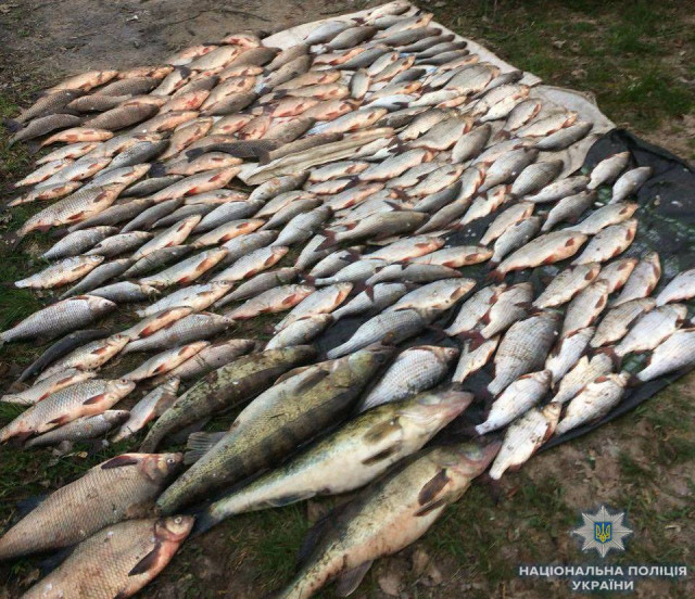 В апреле водная полиция задержала несколько сотен браконьеров