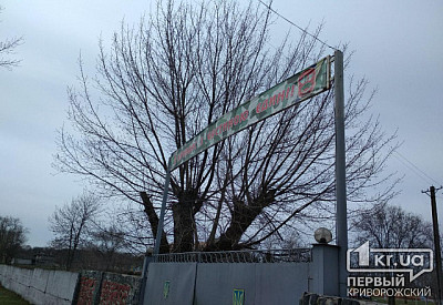 Фото к новости Главное фото новости
