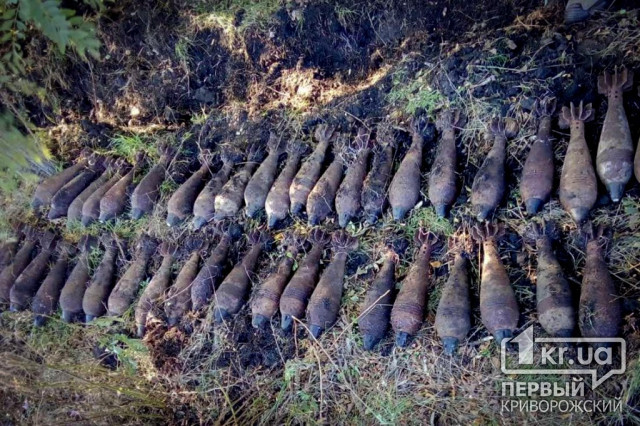 В лесополосе недалеко от Кривого Рога были найдены десятки боеприпасов