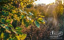 Фото новости