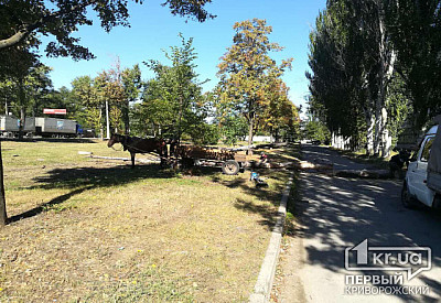 Фото к новости Главное фото новости