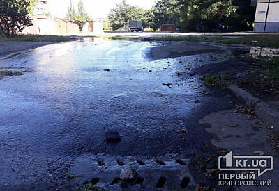 Фото к новости Главное фото новости