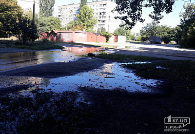 Фото к новости Главное фото новости