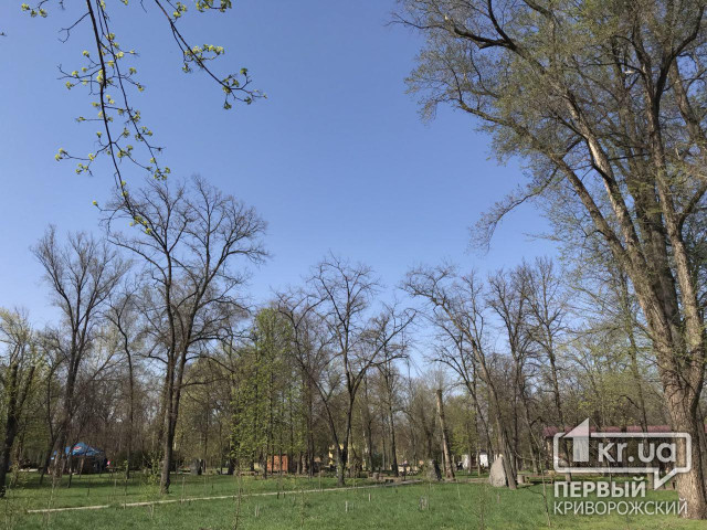 Криворожских чиновников и депутатов не пустили в парк Мершавцева из-за следственных действий
